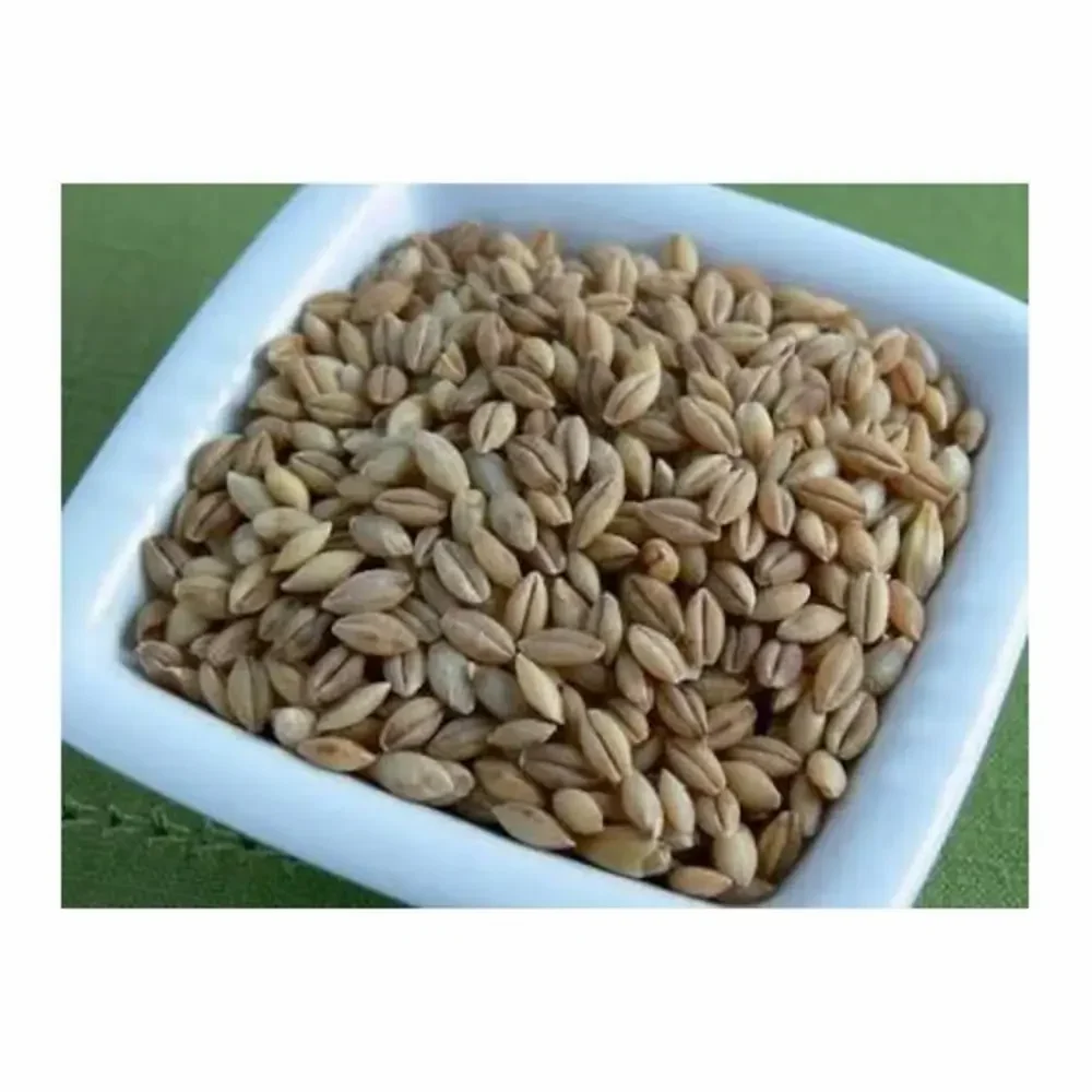 Hulled Barley
