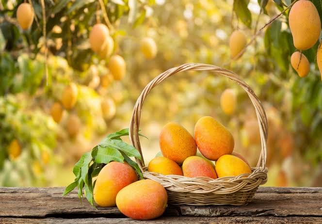 Mango